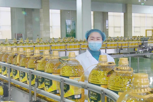 【工匠精神】李民：勇?lián)?dāng)善作為，巾幗何須讓須眉