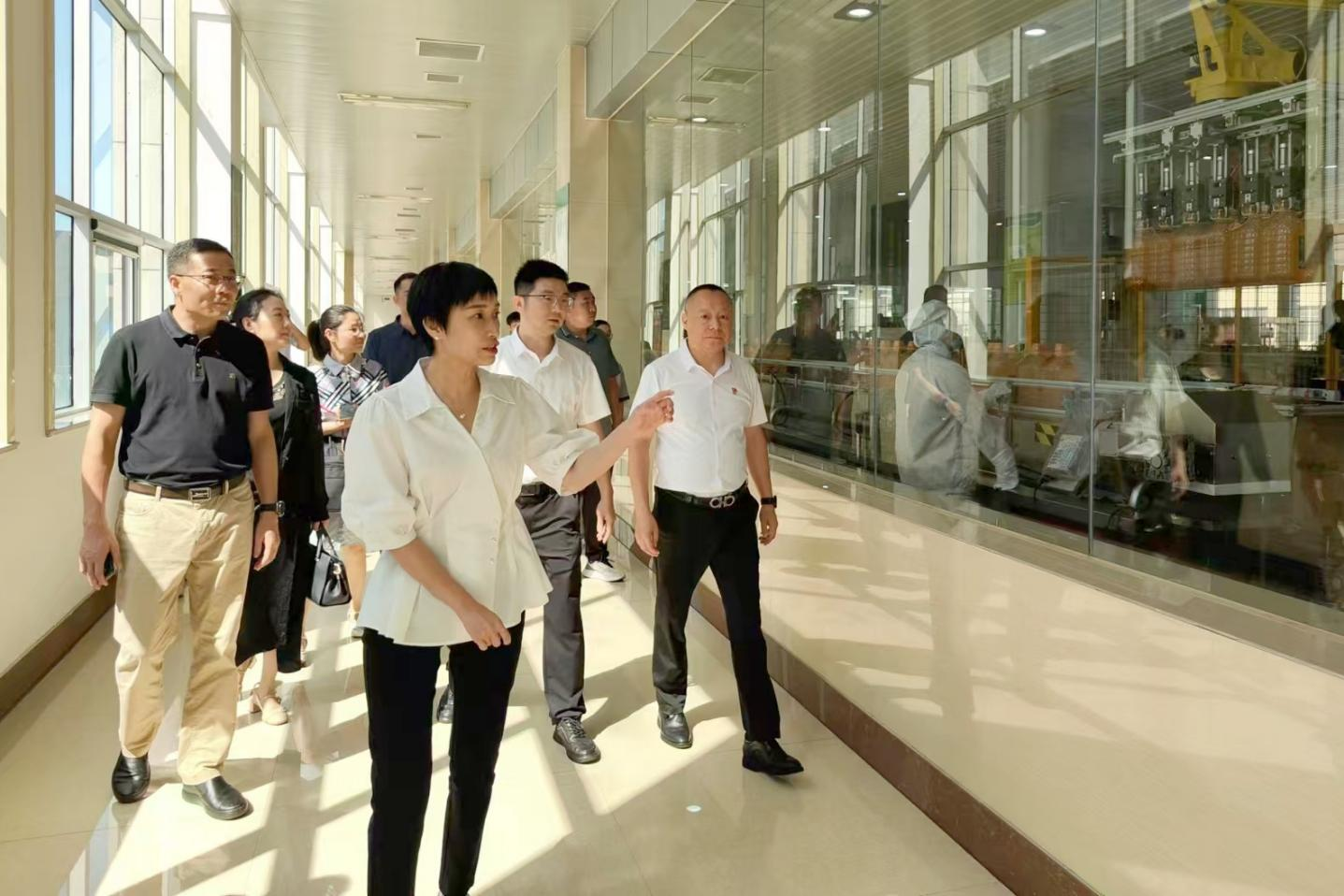 桐廬縣委副書記、縣長張蕙娜到桐廬玉米產(chǎn)業(yè)公司走訪調(diào)研